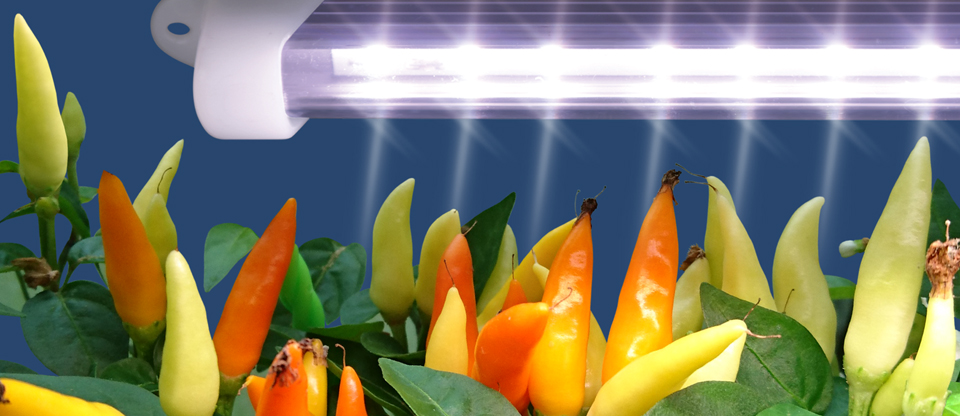VermiLIGHT: Полноспектральные светодиодные фитосветильники. Досветка растений при недостатке или отсутствии солнечного света.
